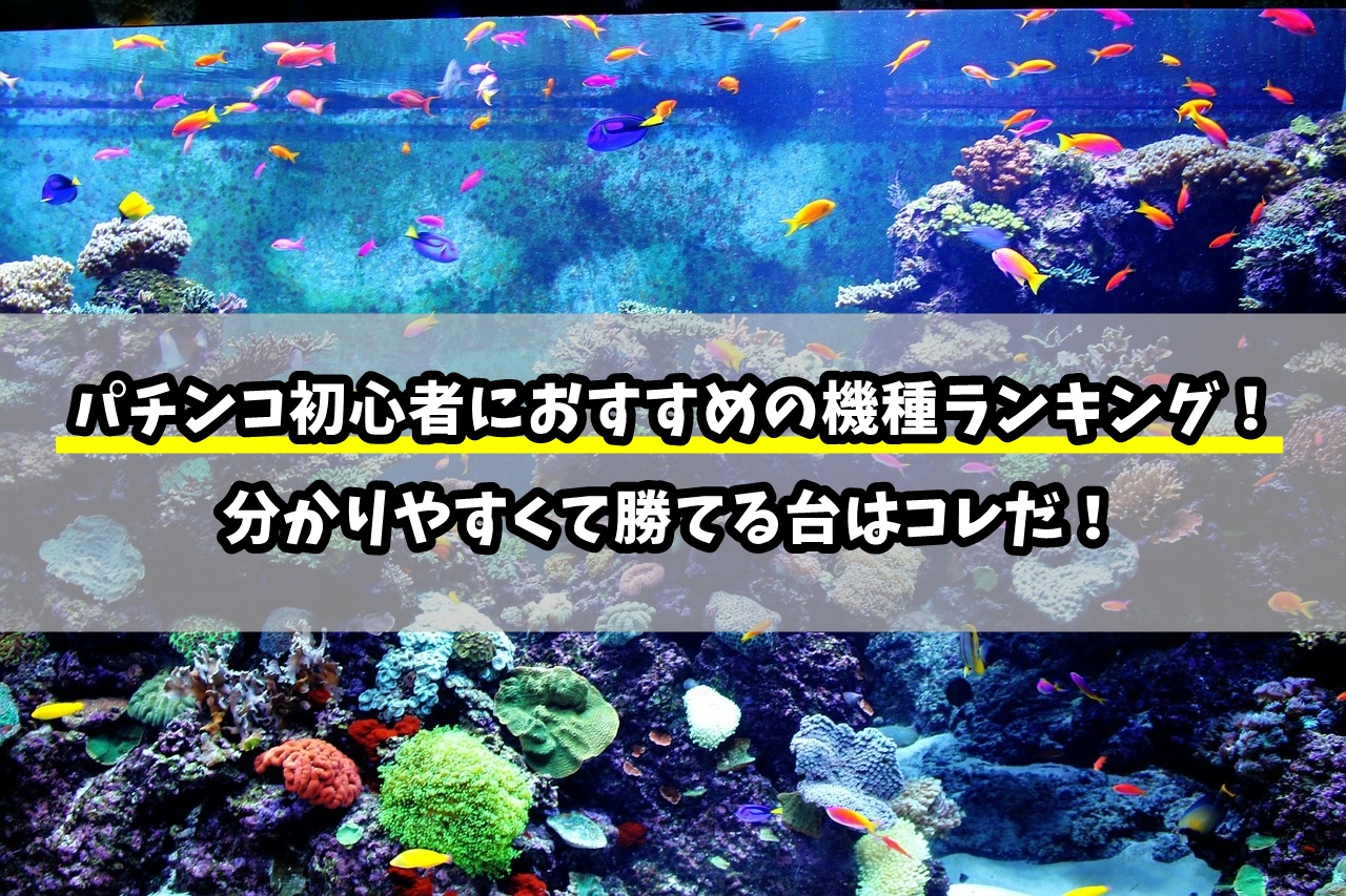 パチンコ初心者におすすめの勝てる機種をランキングで紹介【最新版】