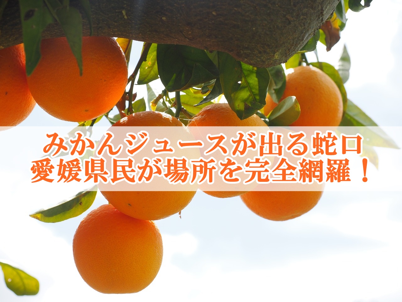 愛媛県のみかんジュースが出る蛇口の場所まとめ！地元民が完全網羅